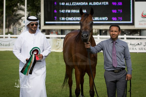 SSS_6056ابوظبي ٢٠١٥