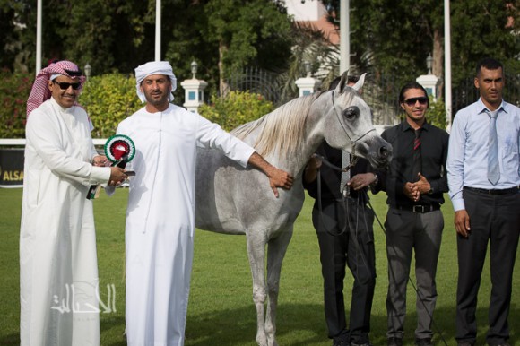 SSS_6065ابوظبي ٢٠١٥