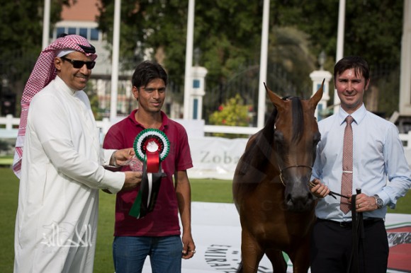 SSS_6069ابوظبي ٢٠١٥