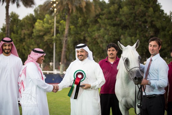 SSS_6118ابوظبي ٢٠١٥