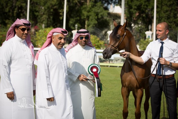 SSS_6147ابوظبي ٢٠١٥