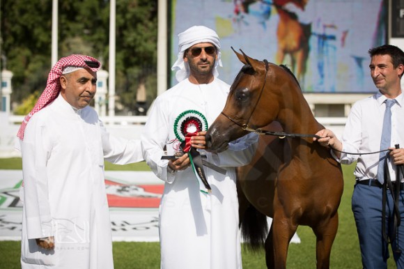 SSS_6149ابوظبي ٢٠١٥