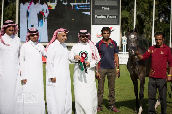 SSS_6152ابوظبي ٢٠١٥