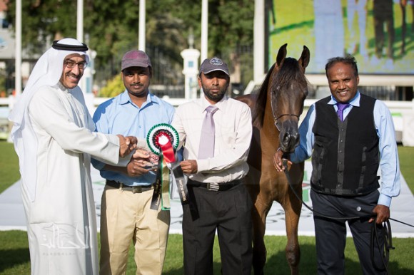 SSS_6187ابوظبي ٢٠١٥