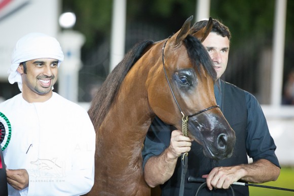 SSS_6240ابوظبي ٢٠١٥