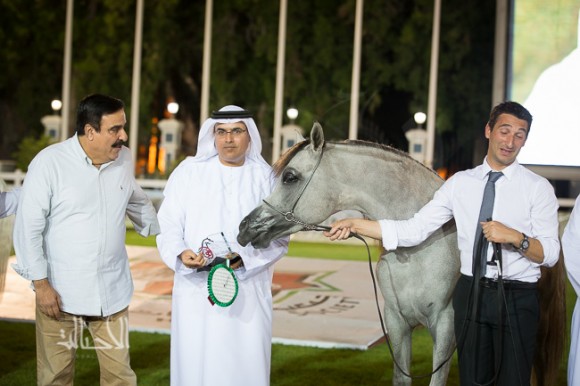 SSS_6270ابوظبي ٢٠١٥