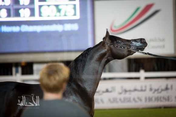 اس كيو كويتي