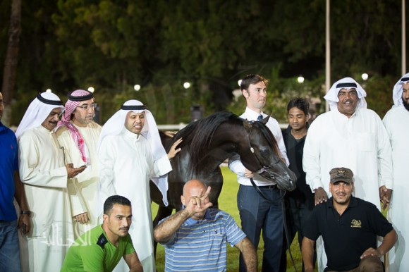 SSS_6290ابوظبي ٢٠١٥