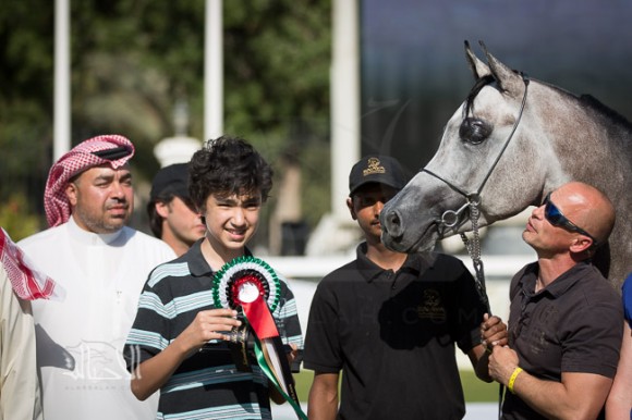 SSS_6318ابوظبي ٢٠١٥