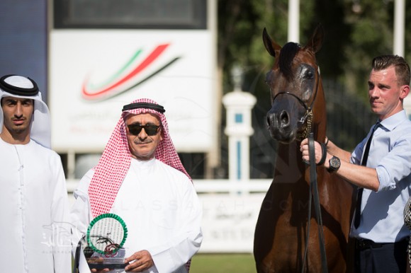 SSS_6319ابوظبي ٢٠١٥