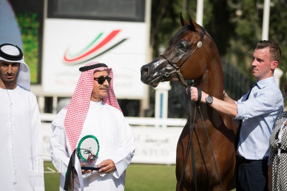 SSS_6322ابوظبي ٢٠١٥