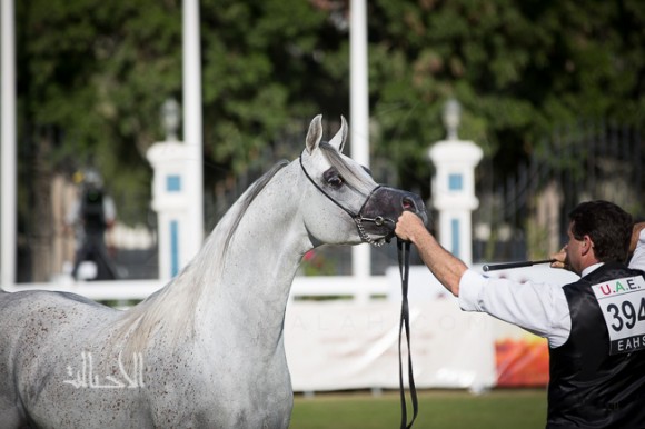 SSS_6334ابوظبي ٢٠١٥