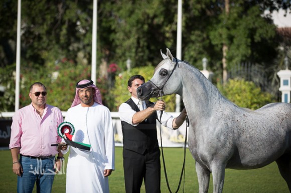 SSS_6339ابوظبي ٢٠١٥