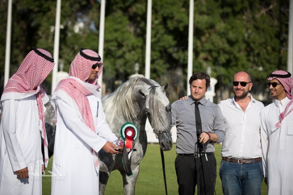 SSS_6350ابوظبي ٢٠١٥