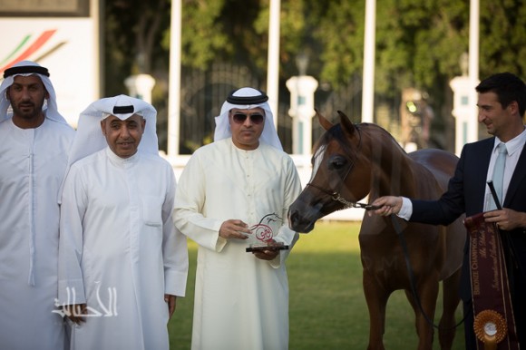 SSS_6410ابوظبي ٢٠١٥