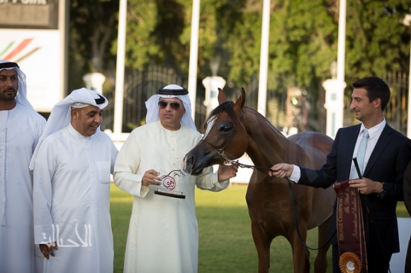  دي سفانا – مربط دبي