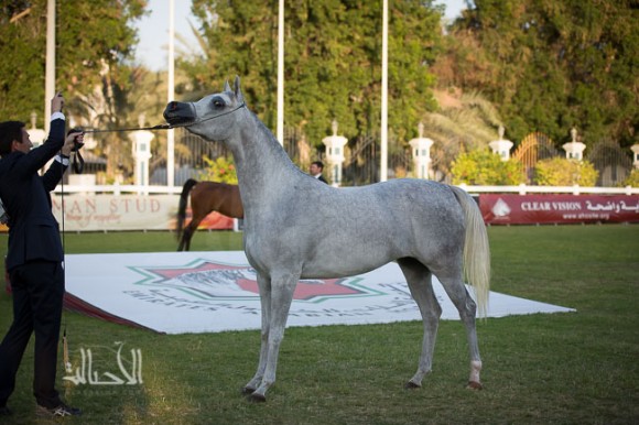 دي ريم لمربط دبي