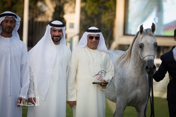 دي ريم لمربط دبي