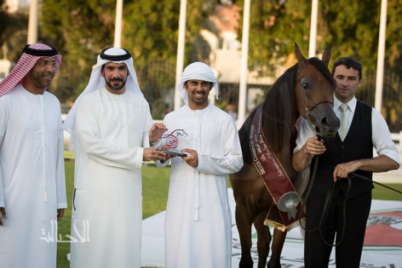 ع ج سواري لمربط عجمان