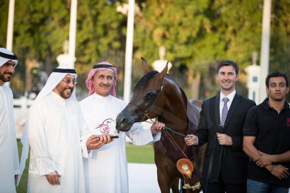 SSS_6460ابوظبي ٢٠١٥