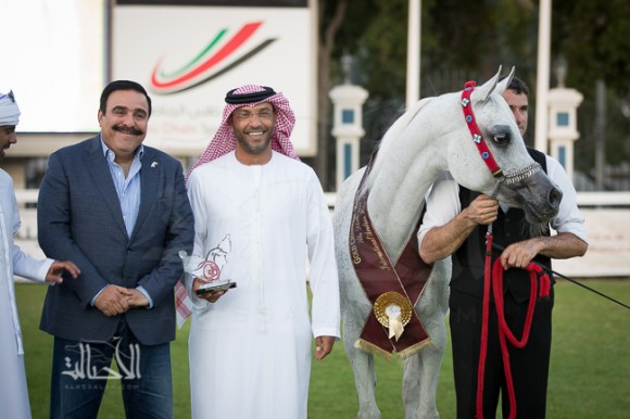  بناريا باي بلوان لمربط عجمان