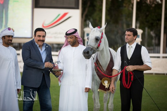 SSS_6488ابوظبي ٢٠١٥