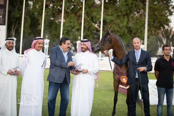 SSS_6512ابوظبي ٢٠١٥