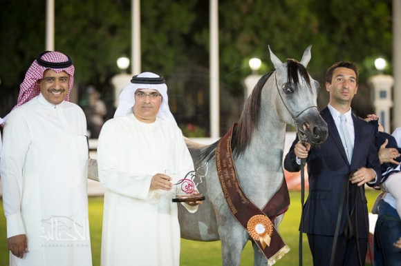  دي عاصف لمربط دبي