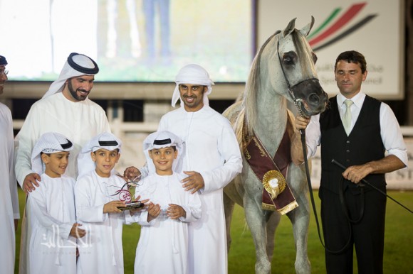 اجا جستفايد لمربط عجمان