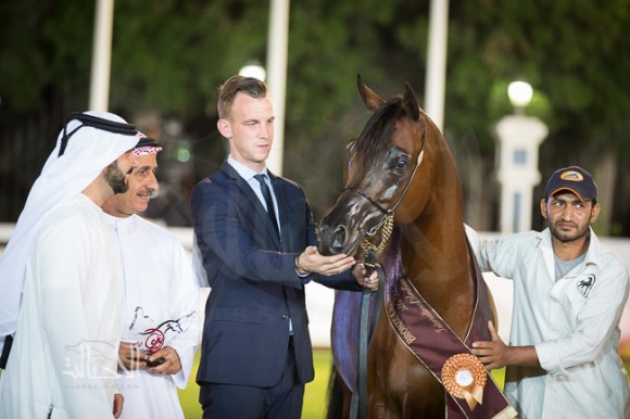 شهاب الهواجر لمربط الهواجر