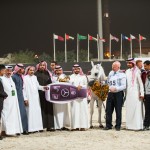 نورما، ذهبية الأفراس