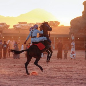 12-مهرجان-خيل-وهيل-في-تبوك