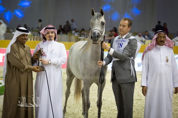 SSS_6653دبي dubai ٢٠١٥