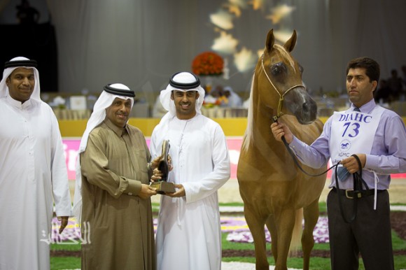 SSS_6658دبي dubai ٢٠١٥