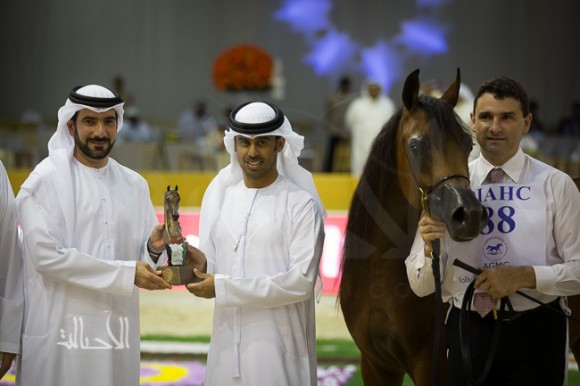 SSS_6668دبي dubai ٢٠١٥