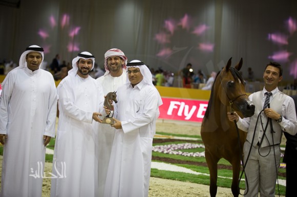 SSS_6671دبي dubai ٢٠١٥