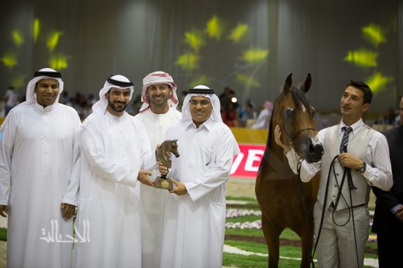 SSS_6674دبي dubai ٢٠١٥