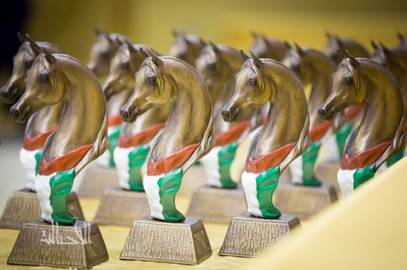 SSS_6718دبي dubai ٢٠١٥