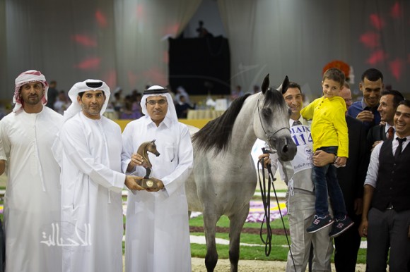 SSS_6723دبي dubai ٢٠١٥