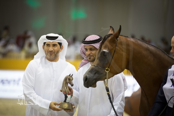 SSS_6731دبي dubai ٢٠١٥