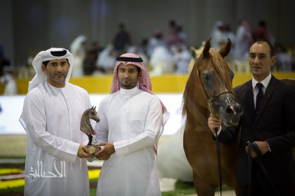 SSS_6732دبي dubai ٢٠١٥