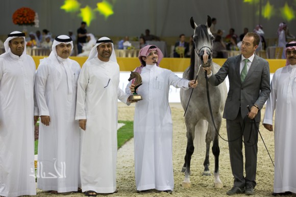 SSS_6753دبي dubai ٢٠١٥