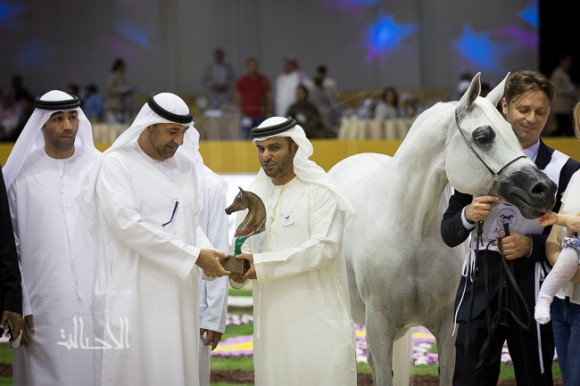 SSS_6758دبي dubai ٢٠١٥