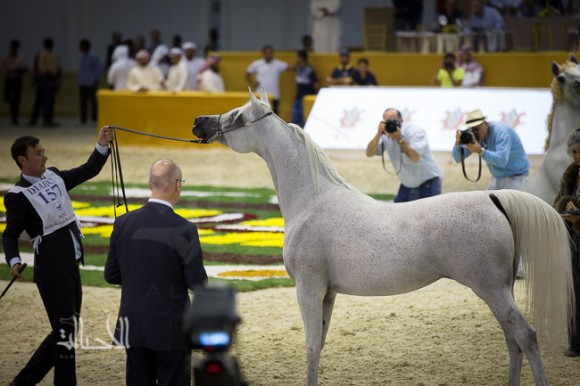 SSS_6768دبي dubai ٢٠١٥