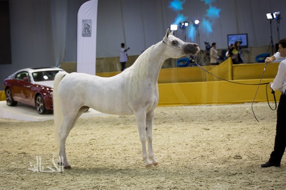 SSS_6771دبي dubai ٢٠١٥