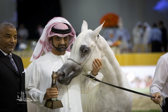 SSS_6775دبي dubai ٢٠١٥