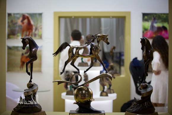 SSS_6783دبي dubai ٢٠١٥