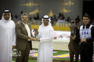 SSS_6799دبي dubai ٢٠١٥