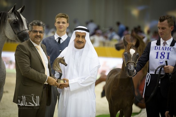 SSS_6803دبي dubai ٢٠١٥