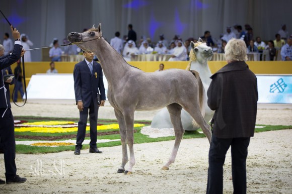 SSS_6808دبي dubai ٢٠١٥